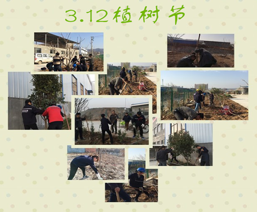 寶雞捷銳“迎春風(fēng)，綠家園”植樹節(jié)(圖3)